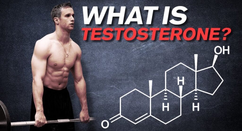 Understanding Testosterone and Why It Matters